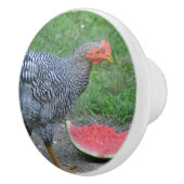 Chicken Ceramic Knob Keramische Knop (Rechts)