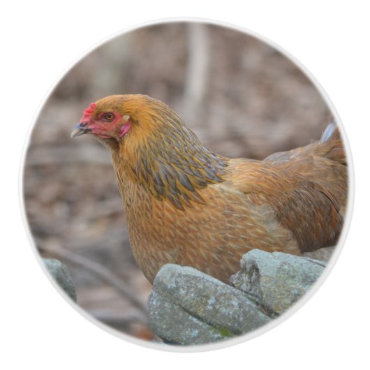 Chicken Ceramic Knob Keramische Knop (Voorkant)