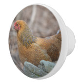 Chicken Ceramic Knob Keramische Knop (Rechts)