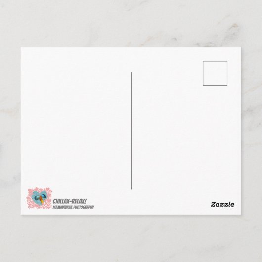 Chicken Chillax, geniet van het Briefkaart van het (Achterkant)