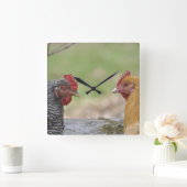 Chicken Clock Vierkante Klok (Huis)