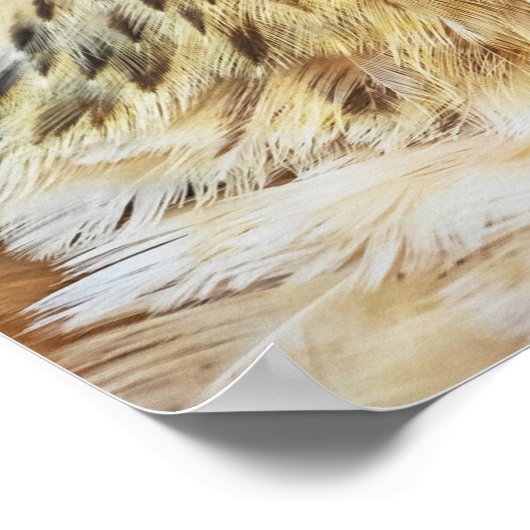 Chicken Close-up Poster (Hoek)