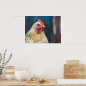 Chicken Close-up Poster (Keuken)