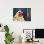 Chicken Close-up Poster (Thuiskantoor)