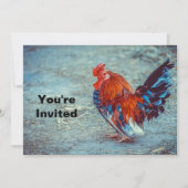 Chicken Colorful Rooster Photo Birthday Kaart (Voorkant)