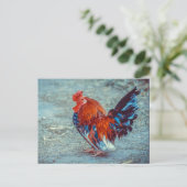 Chicken Colorful Rooster Photo Briefkaart (Staand voorkant)