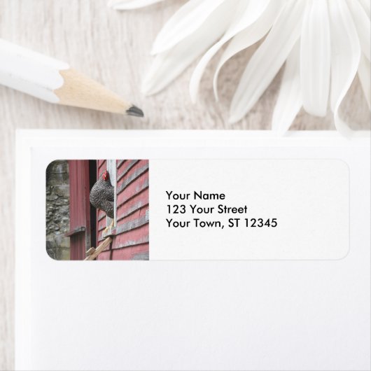 Chicken Coop Etiket (Insitu)