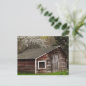 Chicken Coop in Spring Briefkaart (Staand voorkant)