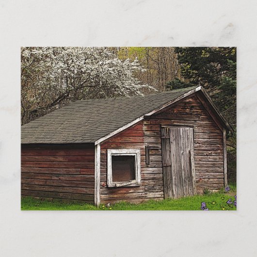 Chicken Coop in Spring Briefkaart (Voorkant)