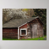 Chicken Coop in Spring Poster (Voorkant)