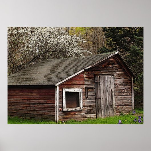 Chicken Coop in Spring Poster (Voorkant)