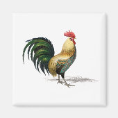 Chicken coop Rooster Magneet (Voorkant)