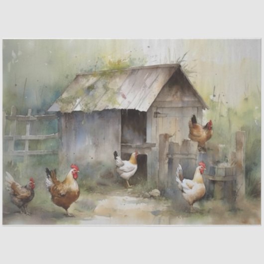 Chicken coop Tissue Paper Tissuepapier (Voorkant)