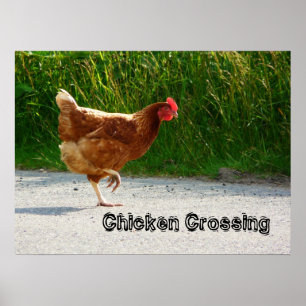 Chicken Crossing the Road Print