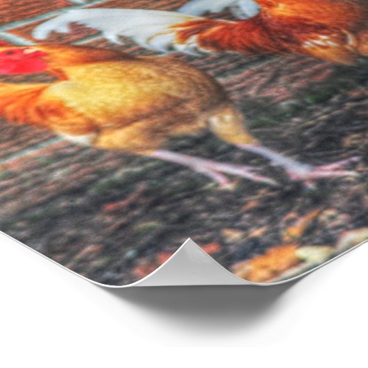 Chicken Dance Poster (Hoek)