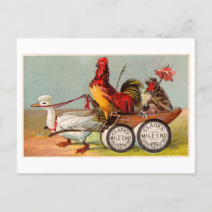 Chicken Driving Duck Cart  Oddity Briefkaart