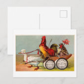 Chicken Driving Duck Cart  Oddity Briefkaart (Voorkant / Achterkant)