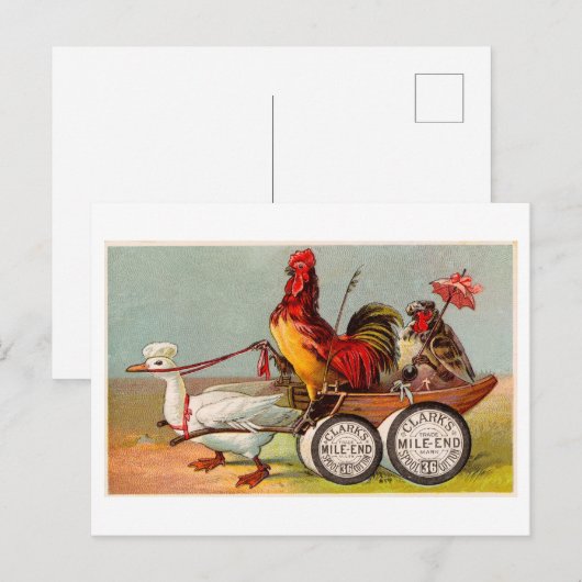 Chicken Driving Duck Cart  Oddity Briefkaart (Voorkant / Achterkant)