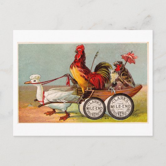 Chicken Driving Duck Cart  Oddity Briefkaart (Voorkant)
