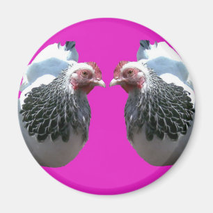 CHICKEN DUO OVER MAGENTA MAGNEET