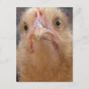 Chicken Face Briefkaart