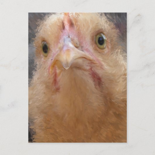 Chicken Face Briefkaart (Voorkant)