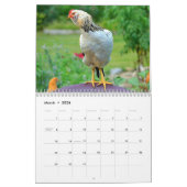 Chicken Farmyard Calendar Kalender (Mar 2026)