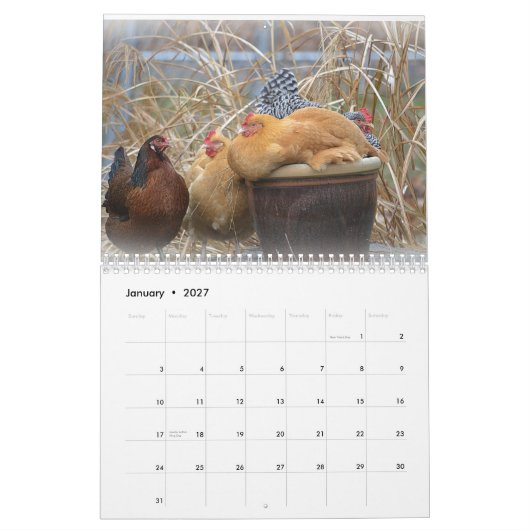 Chicken Farmyard Calendar Kalender (Jan 2027)