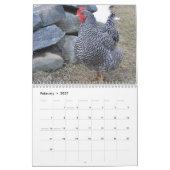 Chicken Farmyard Calendar Kalender (Feb 2027)
