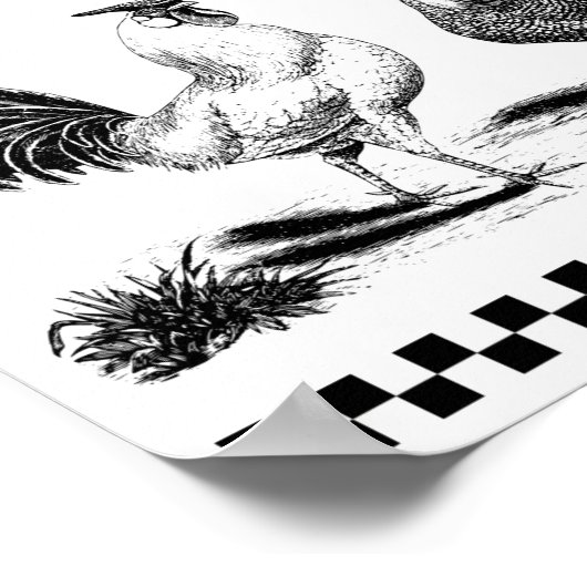 CHICKEN FEED POSTER (Hoek)