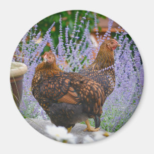 Chicken Floral Magnet