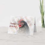 Chicken Friend Birthday-kaart Kaart<br><div class="desc">Op deze verjaardagskaart staat een Cuckoo Maran die haar vriendin Happy Birthday wenst. Een foto staat ook aan de binnenkant.</div>