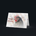 Chicken Friend Verjaardag Kaart<br><div class="desc">Deze verjaardagskaart is voorzien van een Cuckoo Maran wanneer ze haar vriend Happy Birthday toewenst. Een foto staat ook aan de binnenkant.</div>