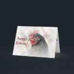 Chicken Friend Verjaardag Kaart<br><div class="desc">Deze verjaardagskaart is voorzien van een Cuckoo Maran wanneer ze haar vriend Happy Birthday toewenst. Een foto staat ook aan de binnenkant.</div>