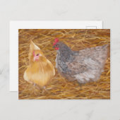 Chicken Friends JW Briefkaart (Voorkant / Achterkant)