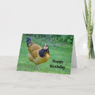 Chicken Gold en Black Vorwerk Photo Birthday Kaart