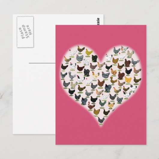 Chicken Heart Briefkaart (Voorkant / Achterkant)