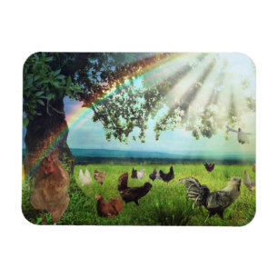 Chicken Heaven Magneet
