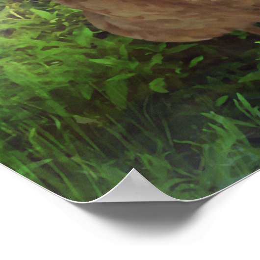 Chicken Heaven Poster (Hoek)