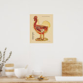 Chicken Hen Internal Anatomee Chart Veterinary Poster (Keuken)