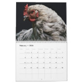 Chicken Hen Kalender (Feb 2026)