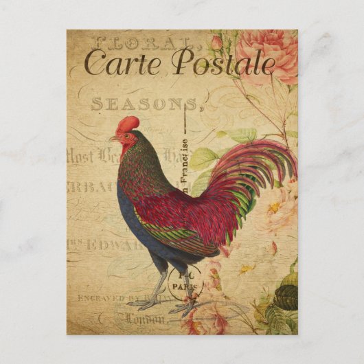  Chicken Hen Rooster afbeelding Frans Briefkaart (Voorkant)