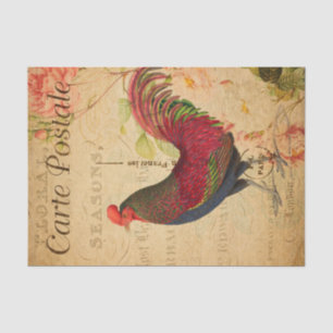 Chicken Hen Rooster afbeelding Frans Tissuepapier