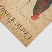  Chicken Hen Rooster afbeelding Frans Tissuepapier (Detail)