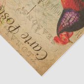  Chicken Hen Rooster afbeelding Frans Tissuepapier (Detail)