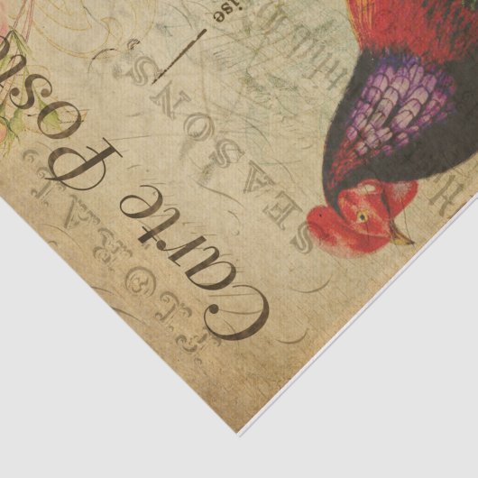 Chicken Hen Rooster afbeelding Frans Tissuepapier (Detail)