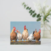 Chicken Hen Two-Tone Coffee Mok Briefkaart (Staand voorkant)
