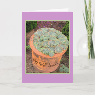 "CHICKEN & HENS PLANT IN TERRA COTTA VASE KAART