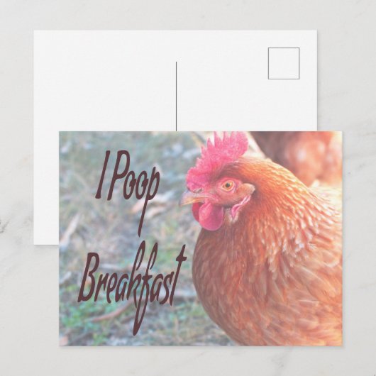 Chicken I poop Breakfast Funny Humor Briefkaart (Voorkant / Achterkant)