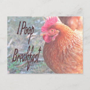 Chicken I poop Breakfast Funny Humor Briefkaart